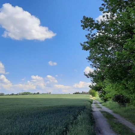 Vierseitenhof Hasenfelde - Ferienwohnung Feldblick Steinhofel Екстериор снимка