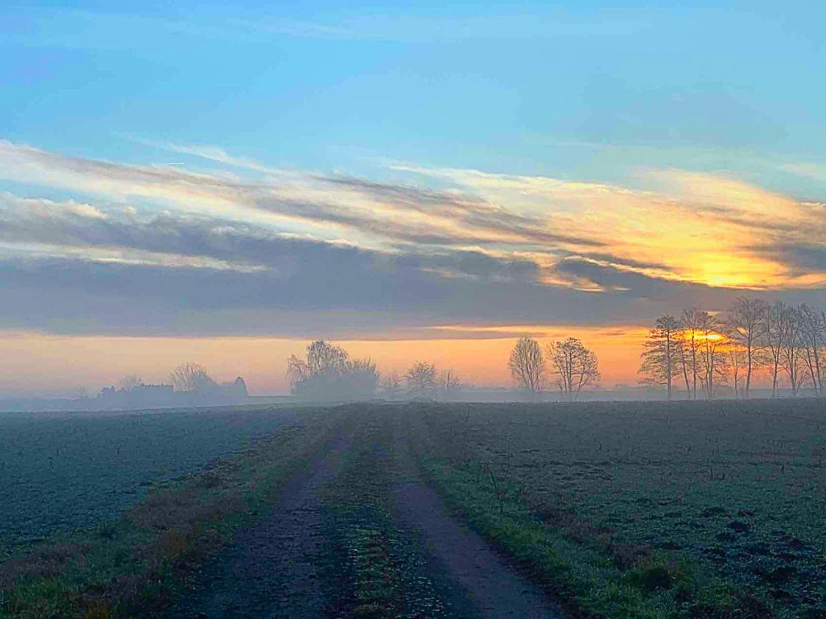 Vierseitenhof Hasenfelde - Ferienwohnung Feldblick Steinhofel Екстериор снимка