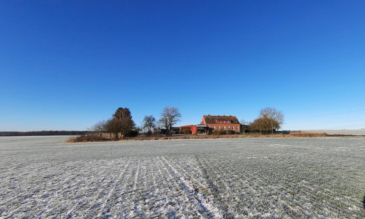 Vierseitenhof Hasenfelde - Ferienwohnung Feldblick Steinhofel Екстериор снимка